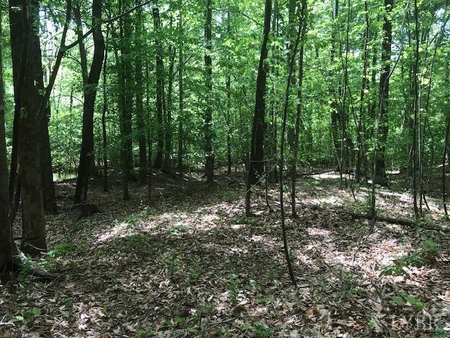 687 Elon Road Madison Heights, VA 24572 - Photo 10 of 25 a view of outdoor space and green space