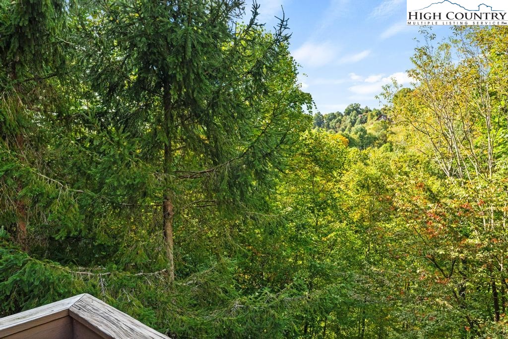 596 Joe Shoemaker Road Vilas, NC 28692 - Photo 45 of 47 Gallery Image 45