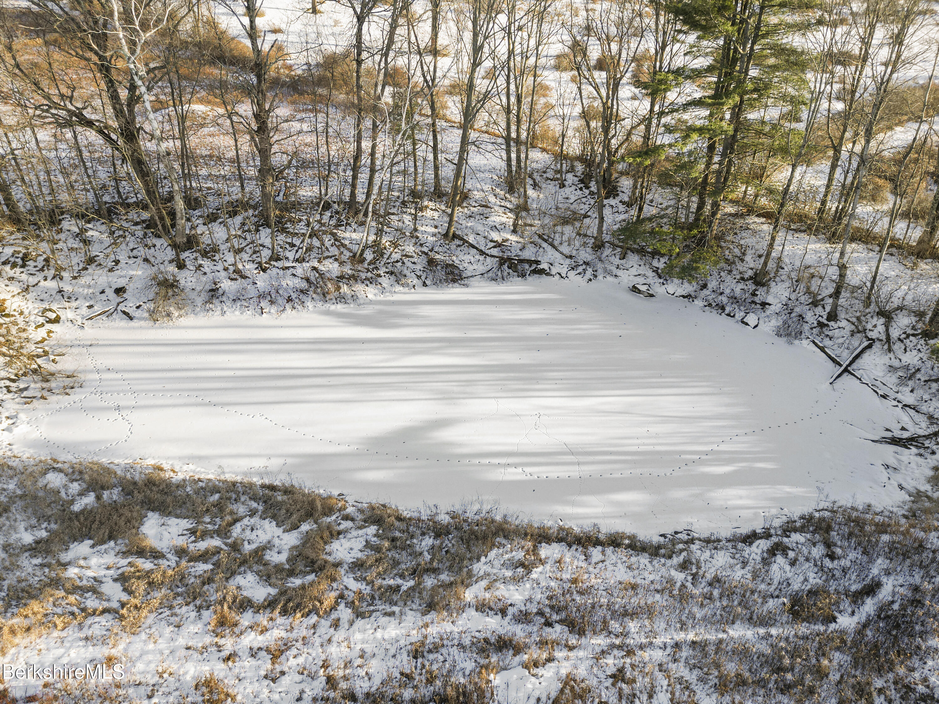 0 Swamp Road Richmond, MA 01254 - Photo 11 of 16 a view of a yard with a snow