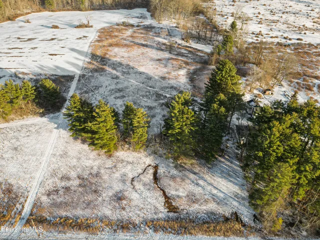 a view of a yard with plants and tree