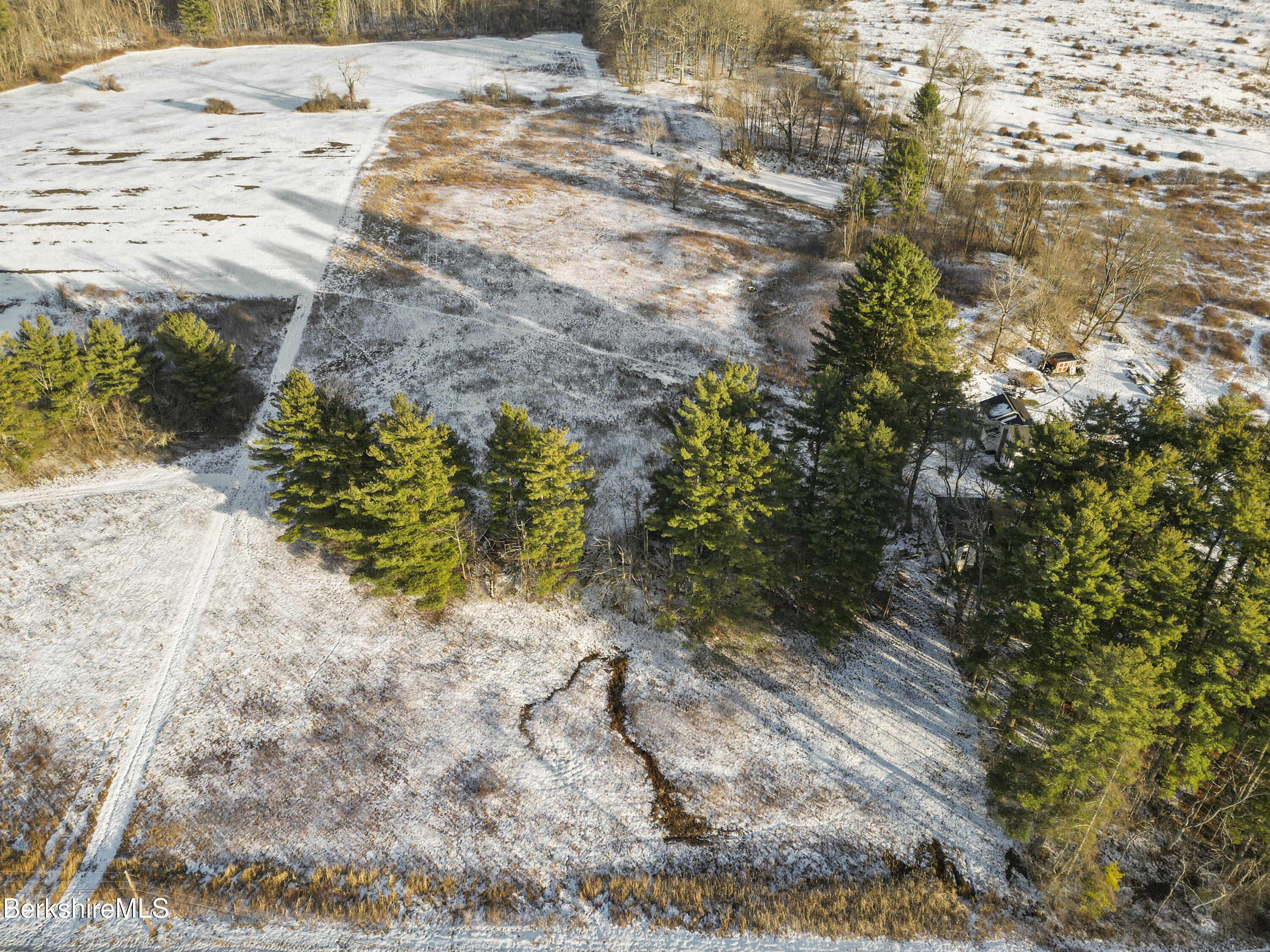 0 Swamp Road Richmond, MA 01254 - Photo 2 of 16 a view of a yard with plants and tree