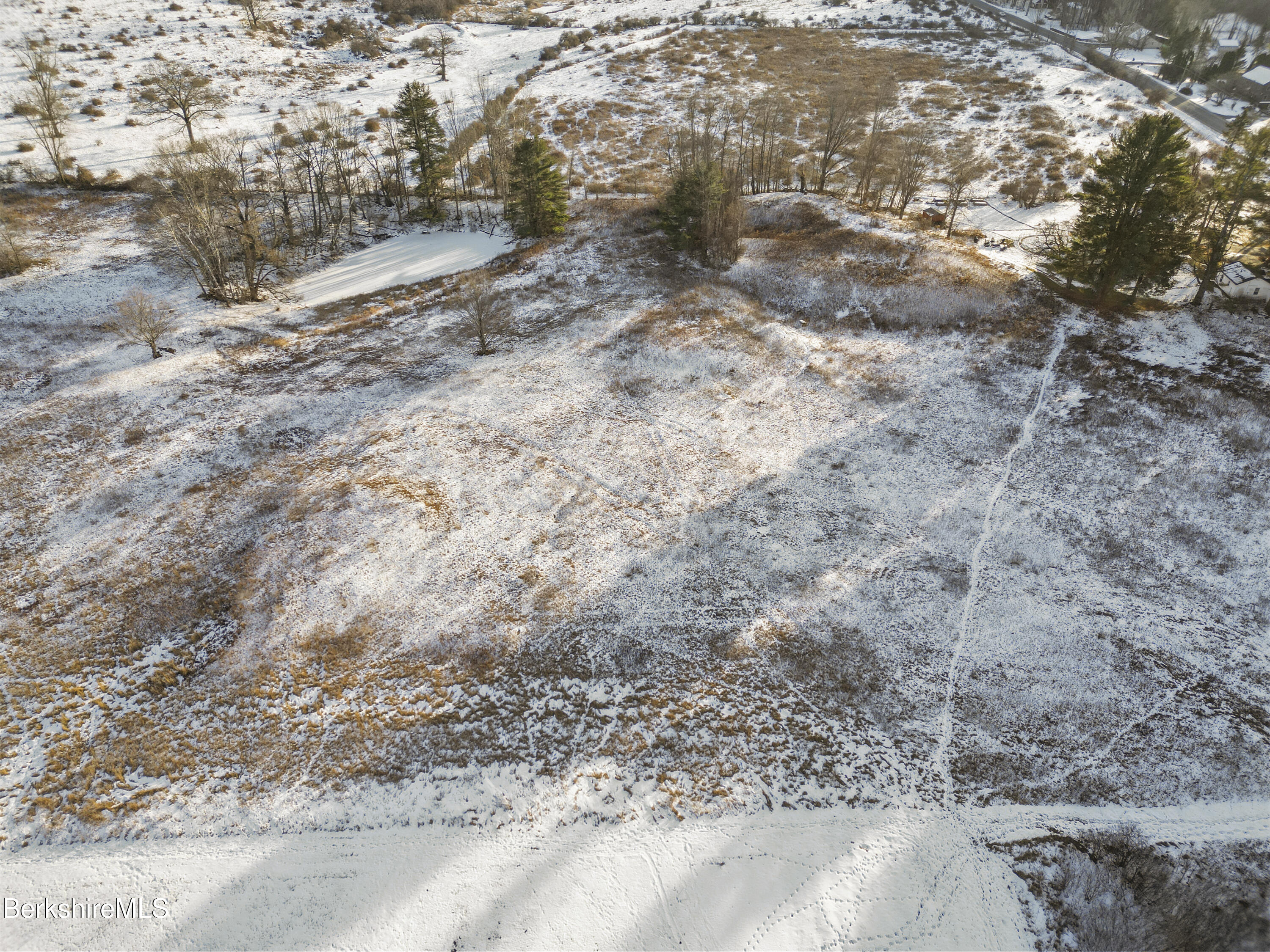 0 Swamp Road Richmond, MA 01254 - Photo 4 of 16 a view of a yard with a trees