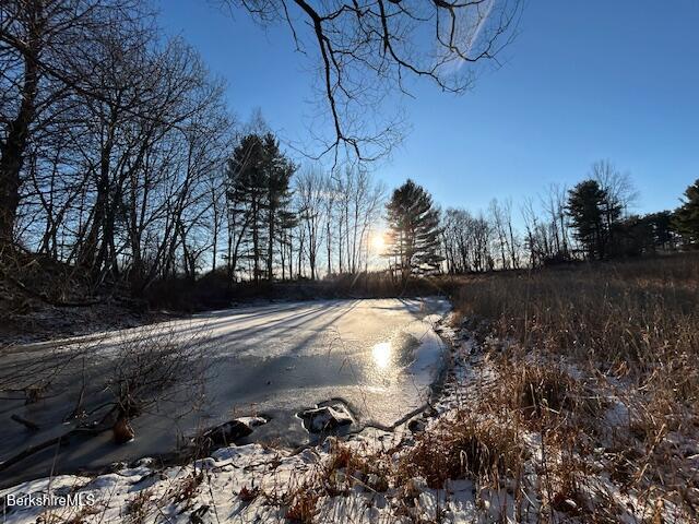 0 Swamp Road Richmond, MA 01254 - Photo 10 of 16