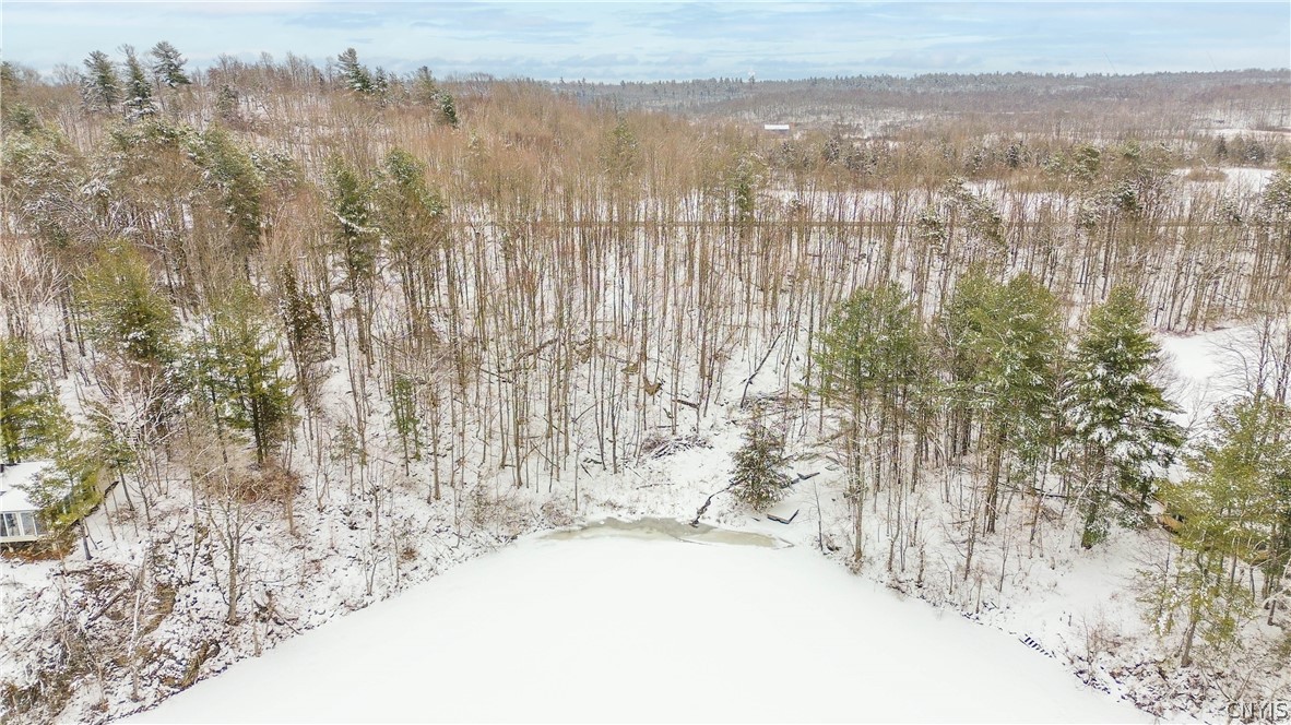 36349 Co Route Theresa, NY 13691 - Photo 11 of 26