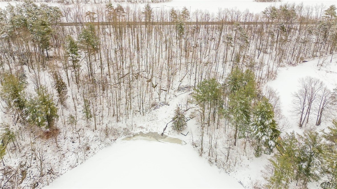 36349 Co Route Theresa, NY 13691 - Photo 12 of 26