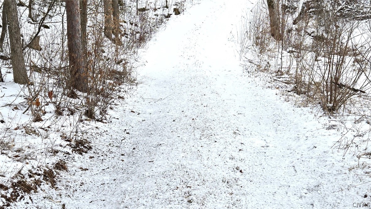 36349 Co Route Theresa, NY 13691 - Photo 18 of 26