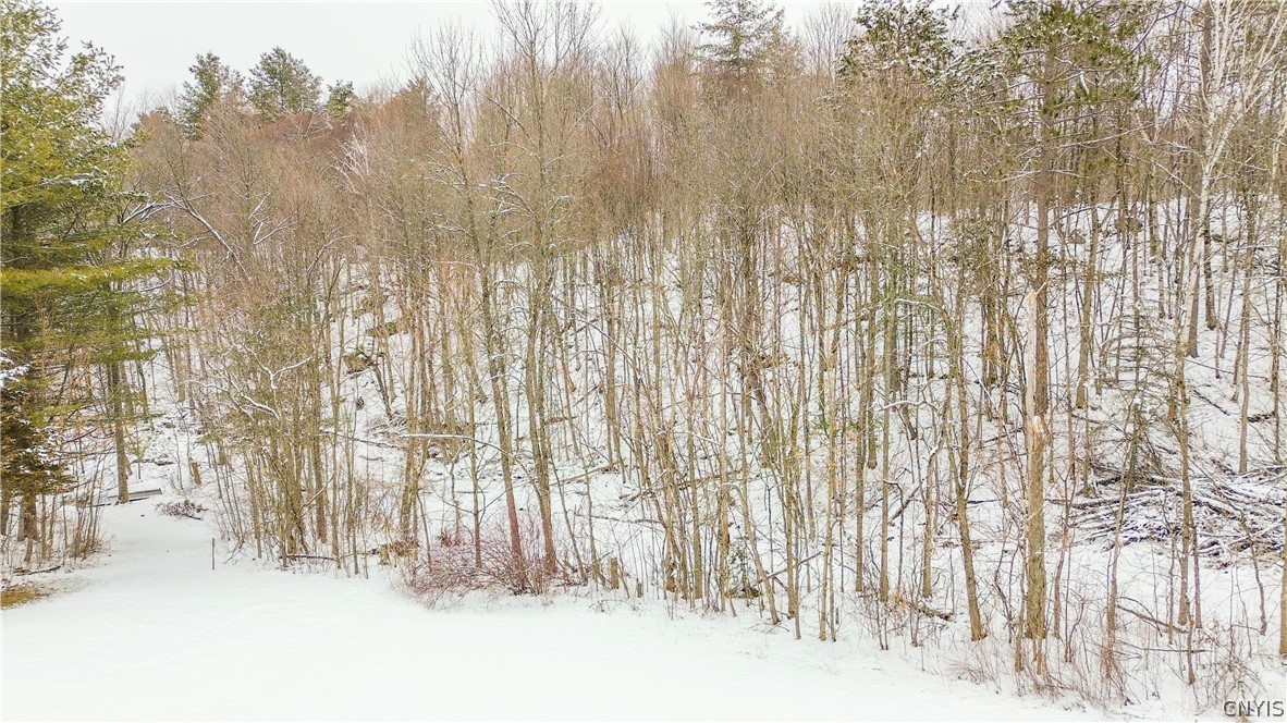 36349 Co Route Theresa, NY 13691 - Photo 19 of 26