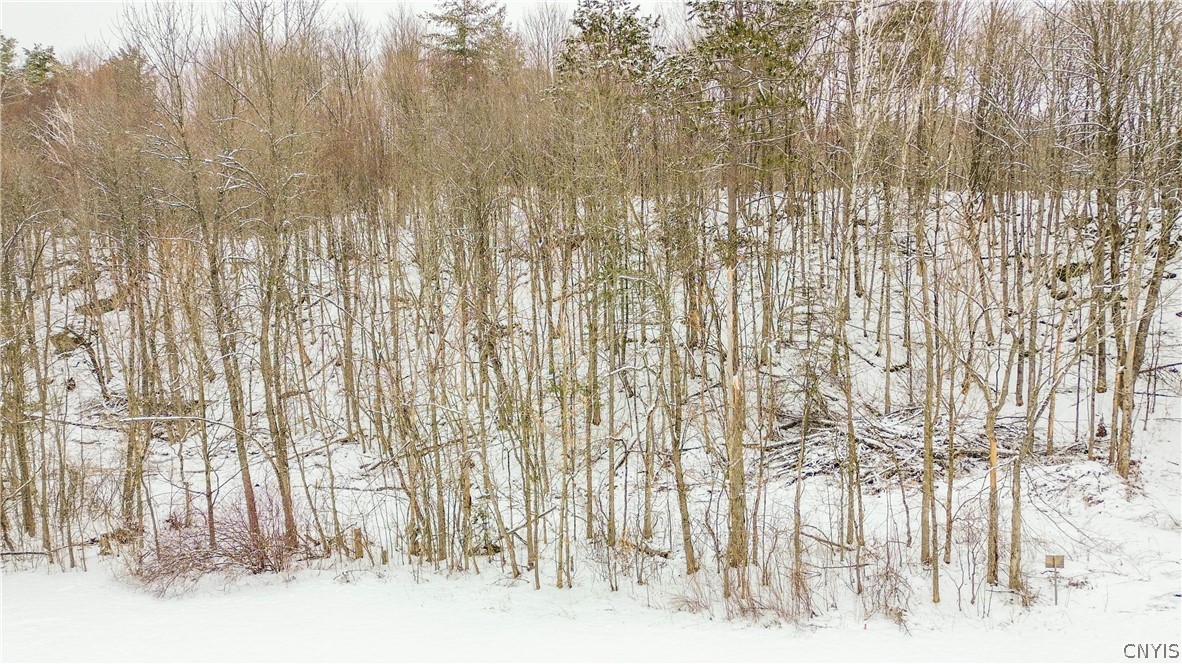 36349 Co Route Theresa, NY 13691 - Photo 21 of 26
