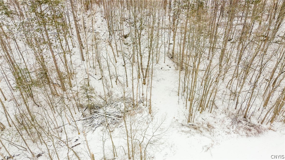 36349 Co Route Theresa, NY 13691 - Photo 22 of 26