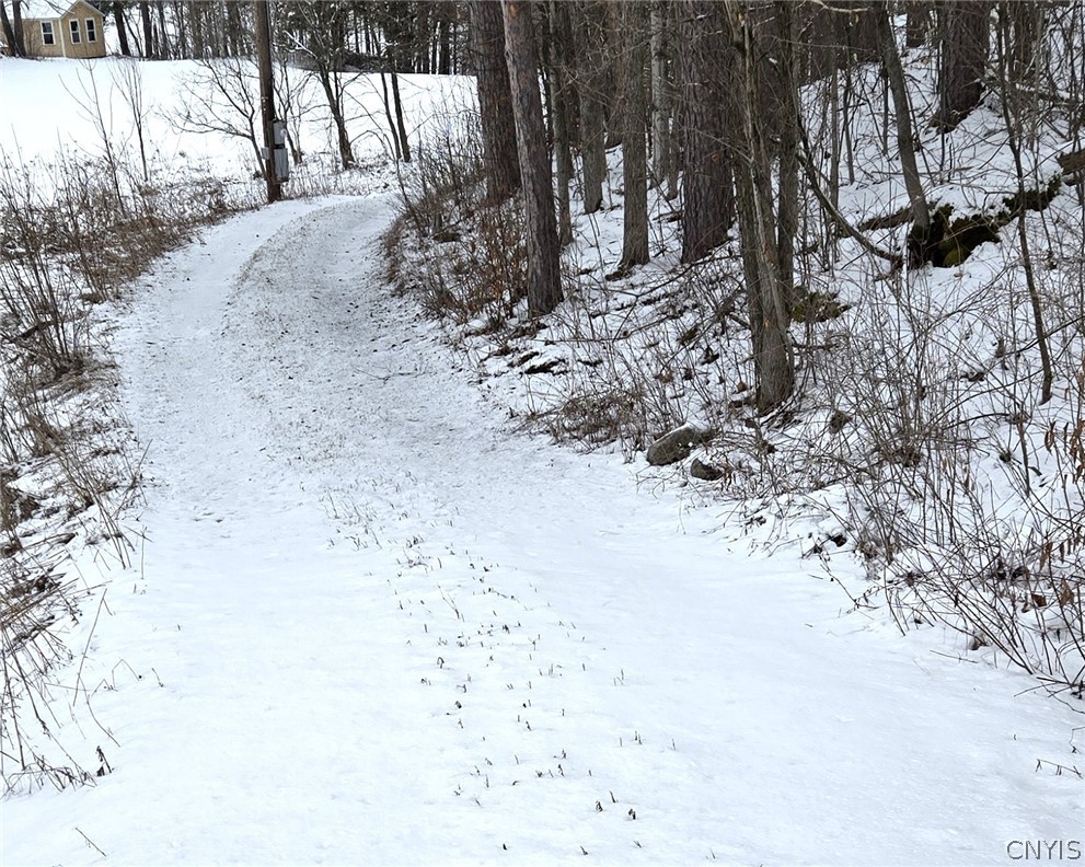 36349 Co Route Theresa, NY 13691 - Photo 5 of 26