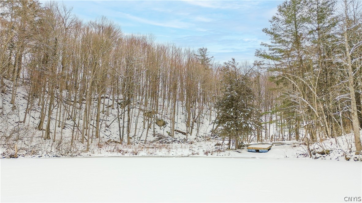 36349 Co Route Theresa, NY 13691 - Photo 8 of 26
