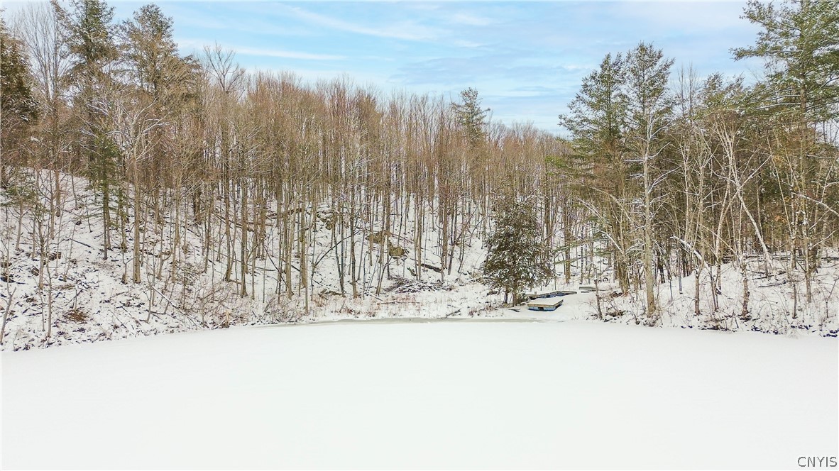 36349 Co Route Theresa, NY 13691 - Photo 9 of 26