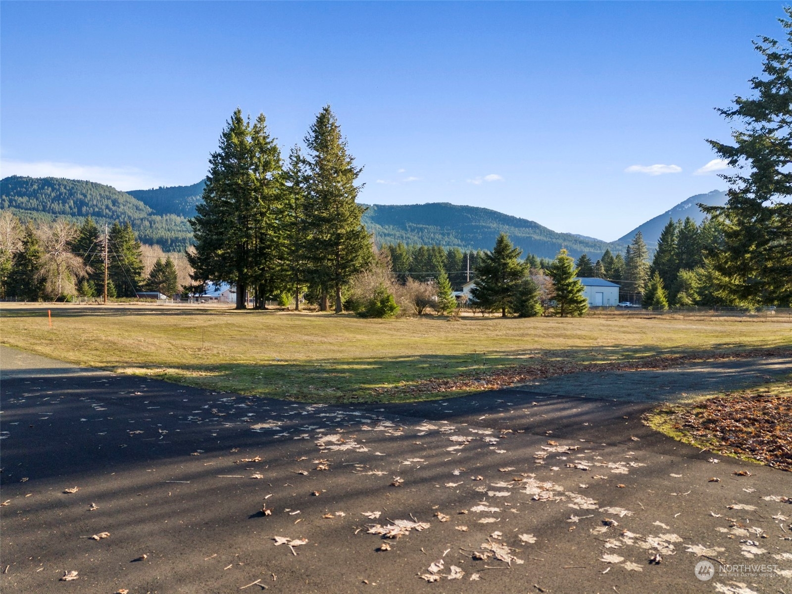 115 Huntington Road Packwood, WA 98361 - Photo 11 of 14 a view of swimming pool is middle in the middle of a yard