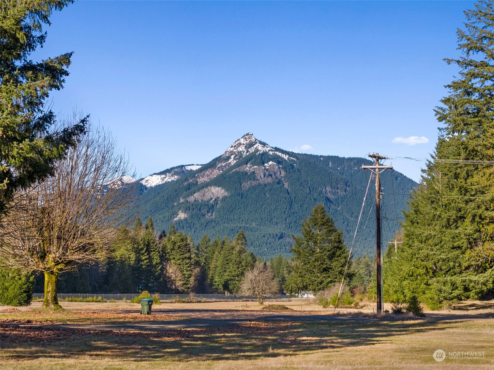 115 Huntington Road Packwood, WA 98361 - Photo 3 of 14 a view of a yard in front of a house