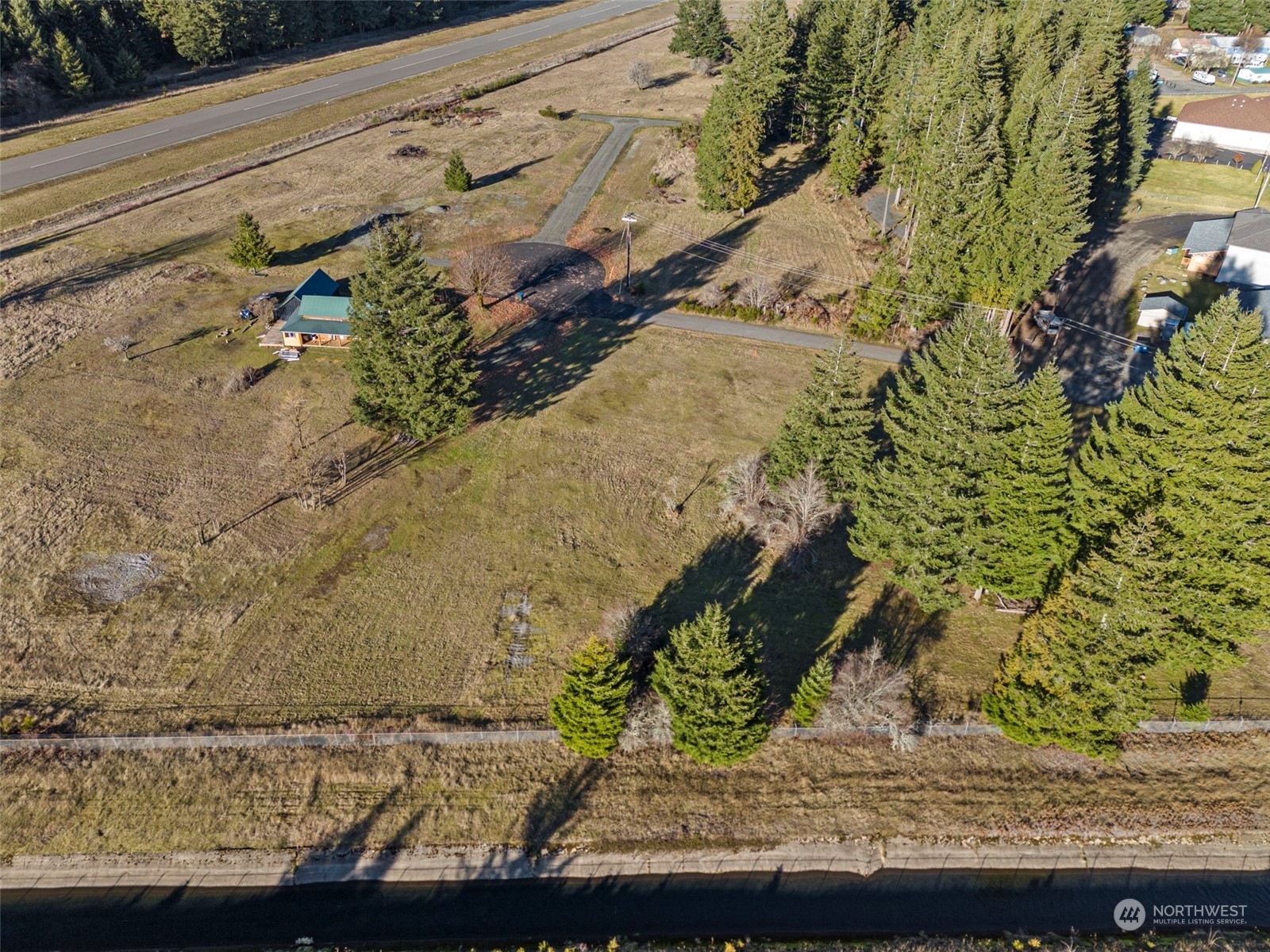 115 Huntington Road Packwood, WA 98361 - Photo 6 of 14 a view of a plant in a field