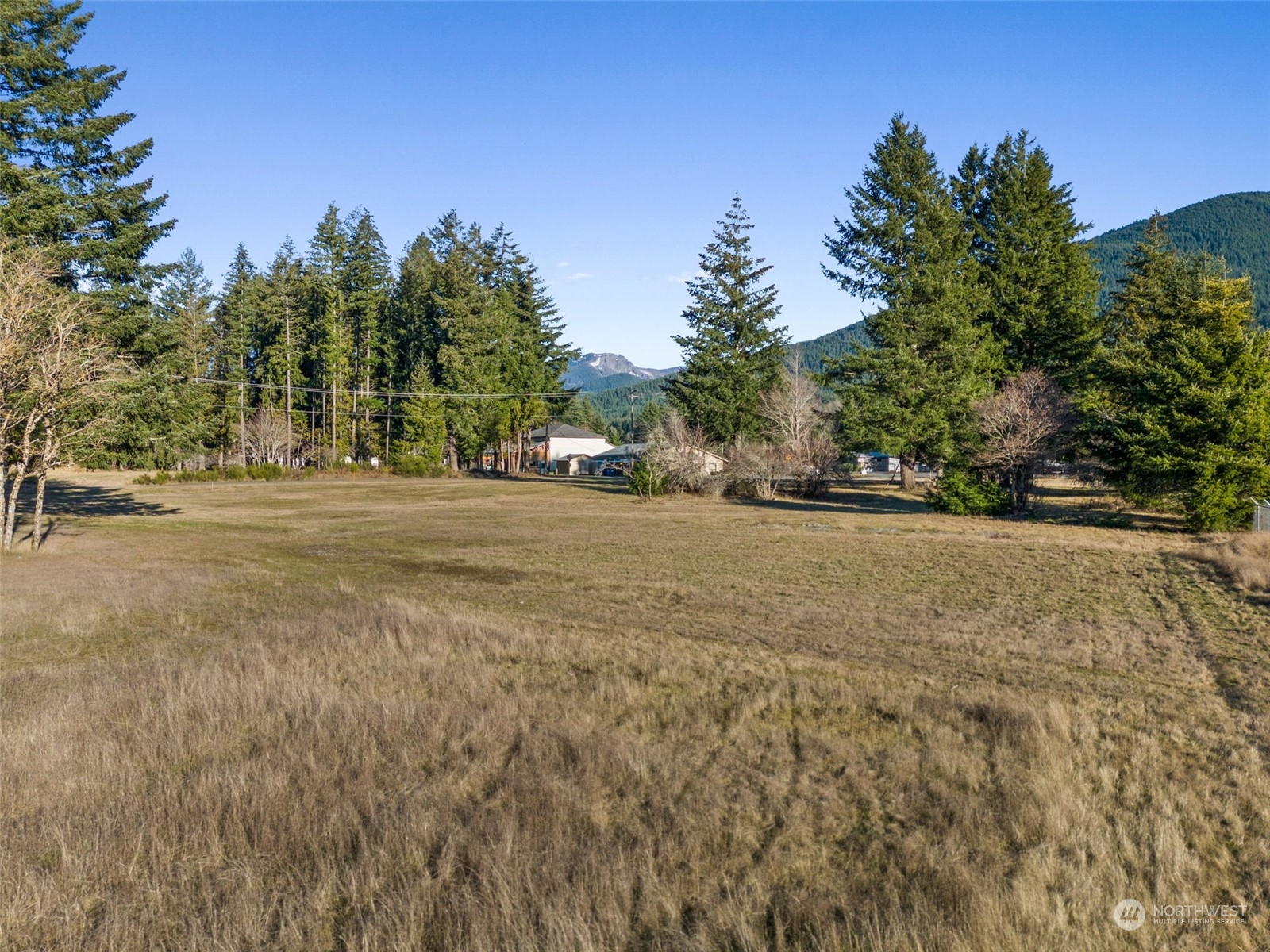 115 Huntington Road Packwood, WA 98361 - Photo 8 of 14 a view of dirt yard with a large tree