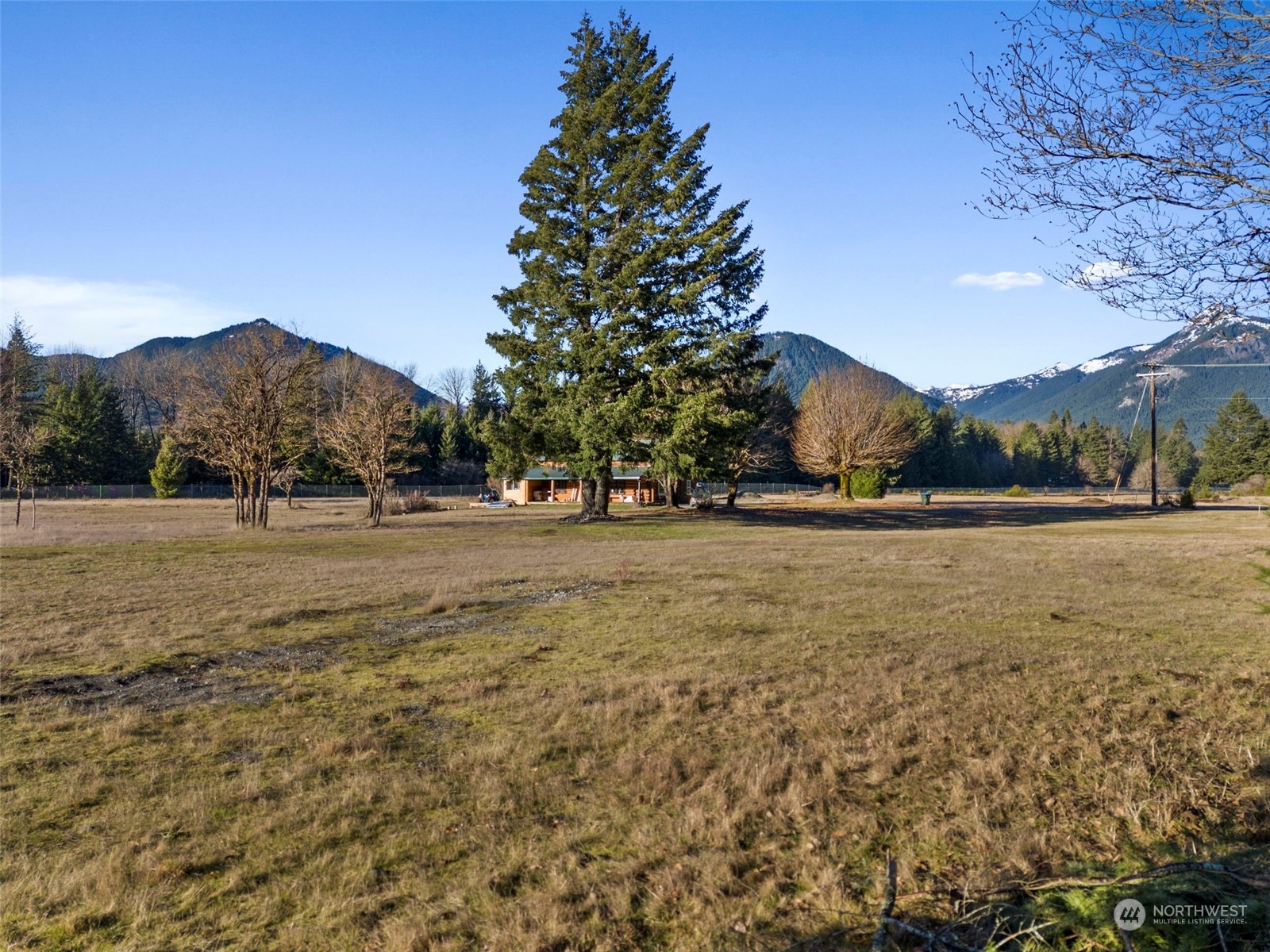 115 Huntington Road Packwood, WA 98361 - Photo 9 of 14 a view of outdoor space with mountain view