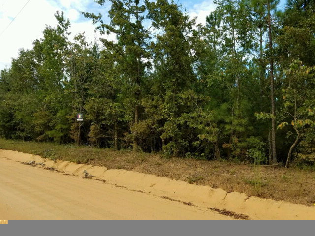 785 North Windsor Road Williston, SC 29853 - Photo 3 of 6