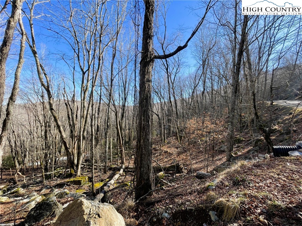 236 Lakeledge Road Beech Mountain, NC 28604 - Photo 4 of 5