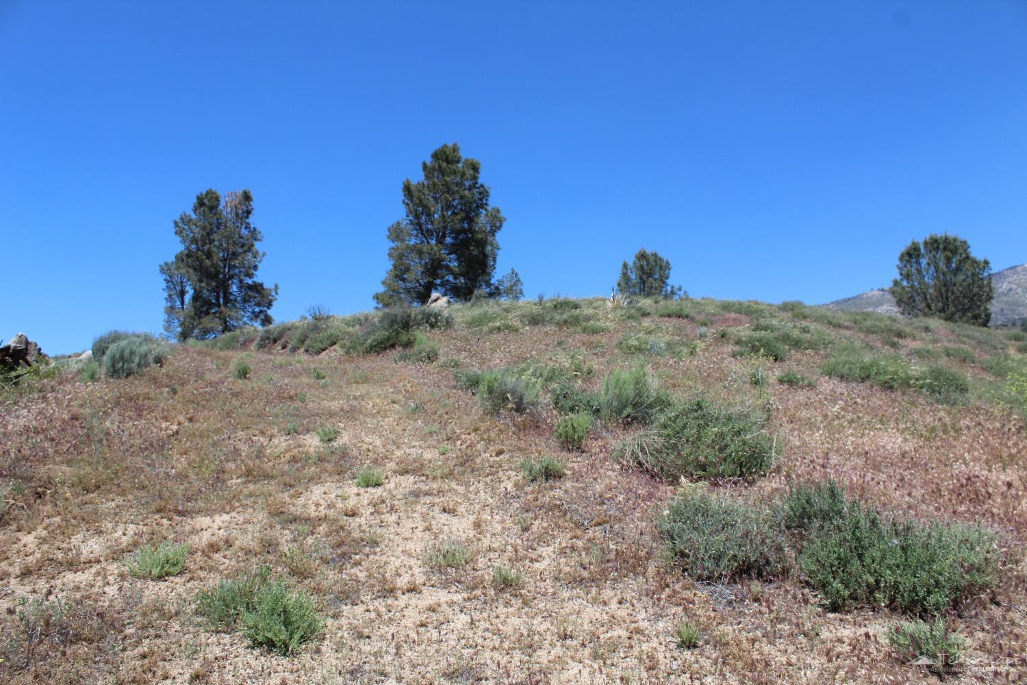 0 Piute Mountain Road Caliente, CA 93518 - Photo 17 of 35 Gallery Image 17