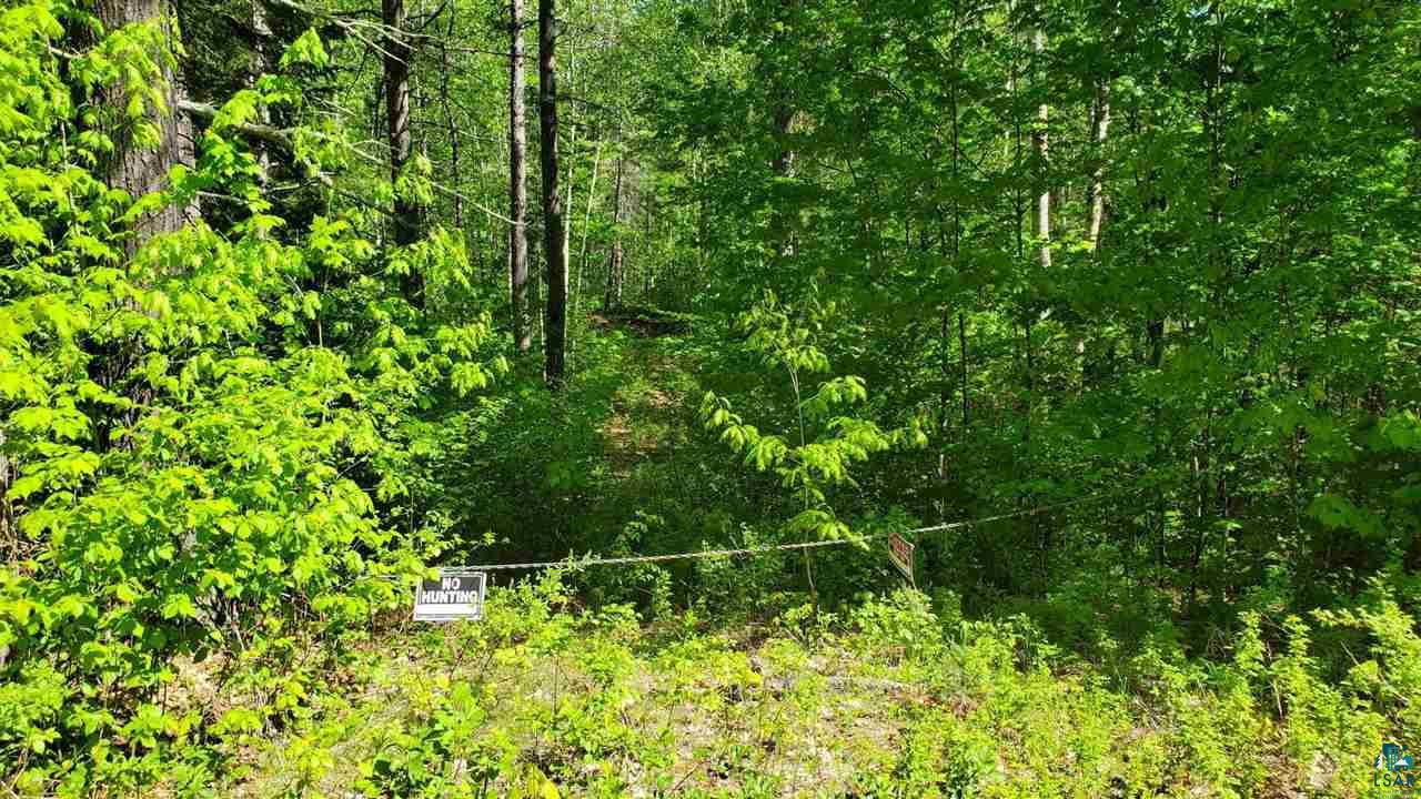 16425 Sand Hill Road Mason, WI 54856 - Photo 2 of 13 Gallery Image 2