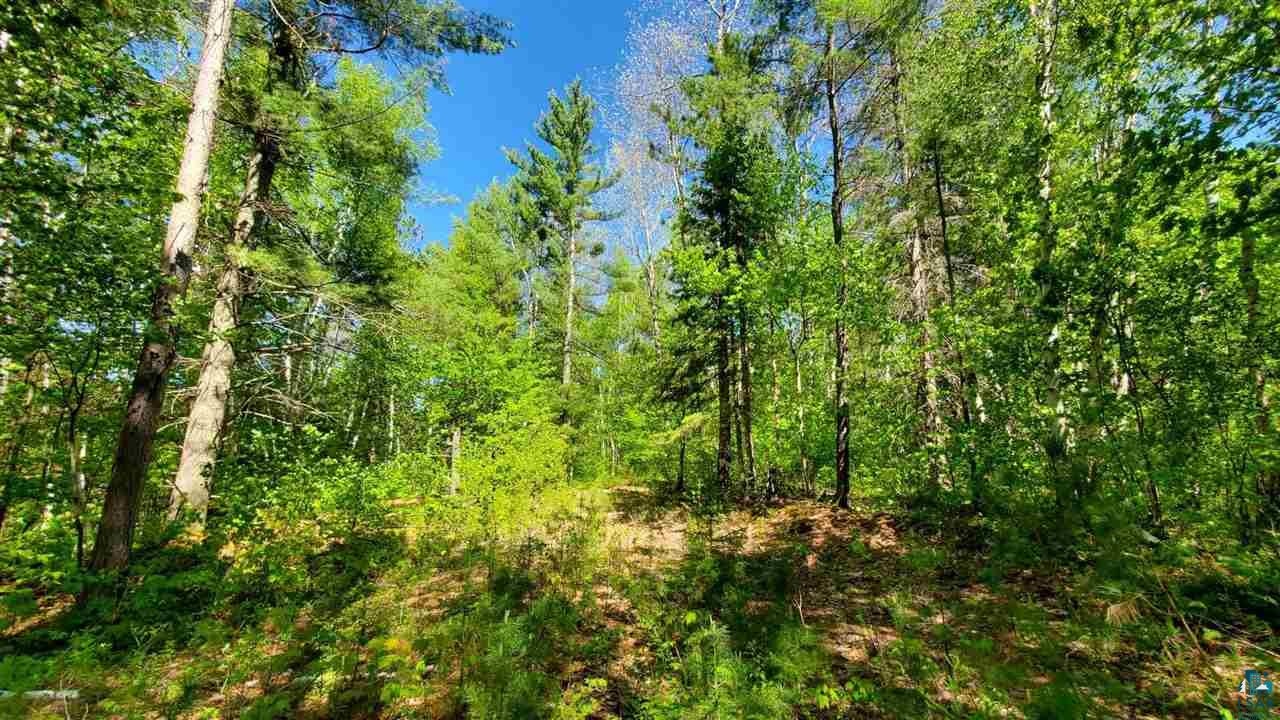 16425 Sand Hill Road Mason, WI 54856 - Photo 7 of 13 Gallery Image 7