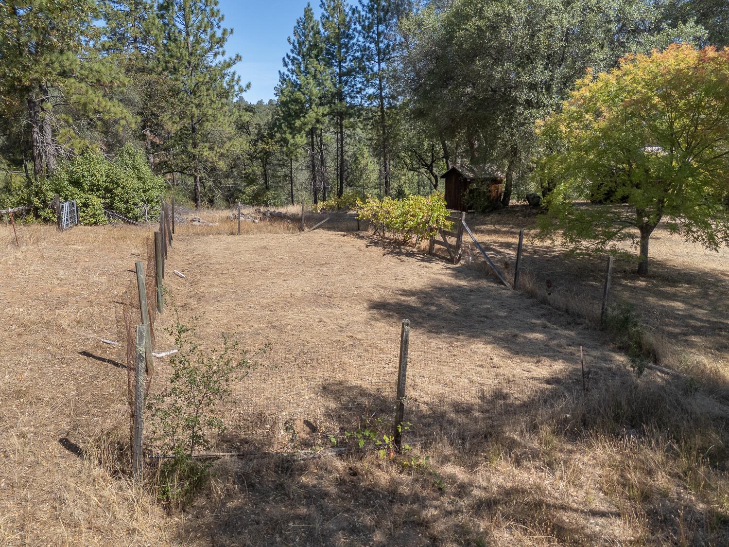 167 Darby Road Bangor, CA 95914 - Photo 59 of 76 Gallery Image 59