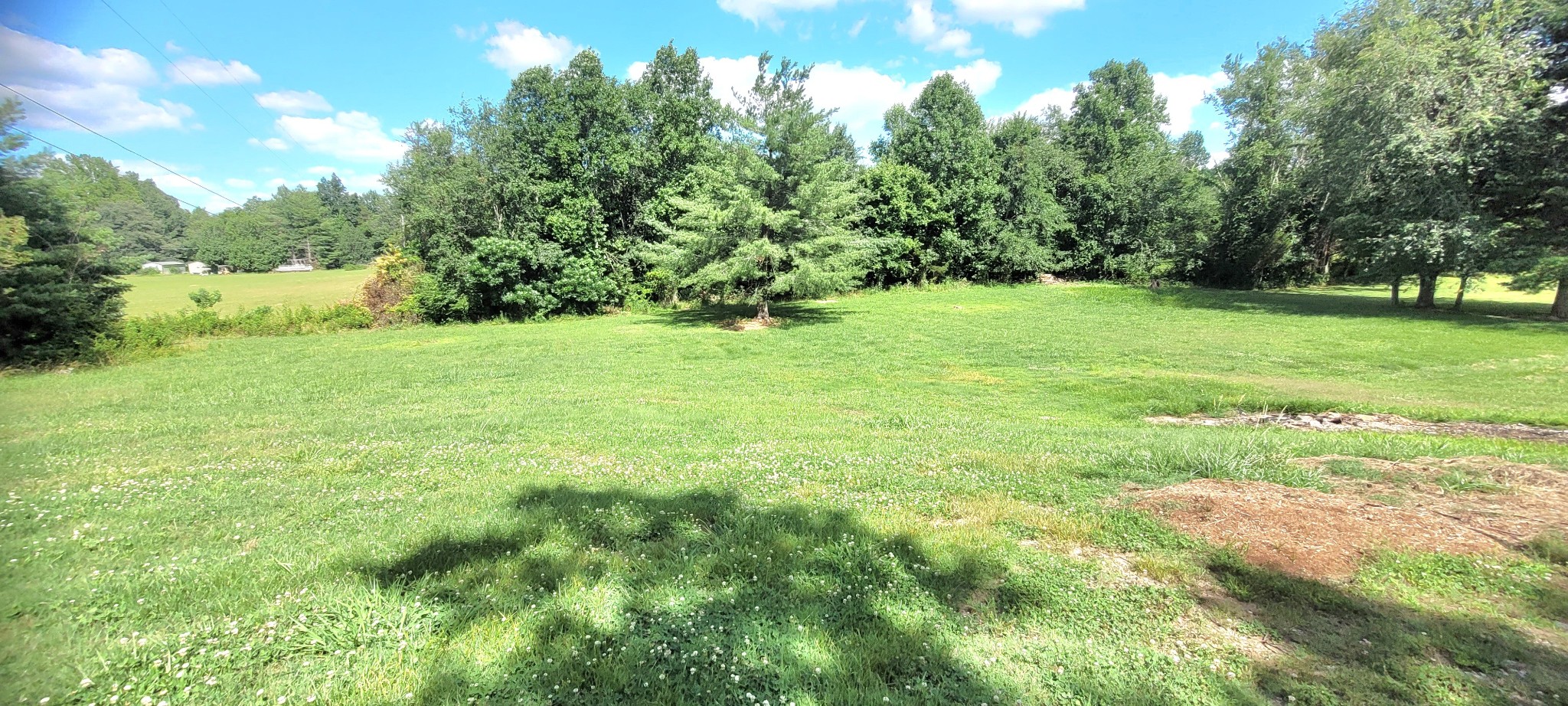 5255 North Mt Pleasant Road Greenbrier, TN 37073 - Photo 3 of 3