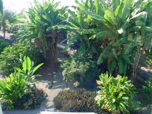 825780 B Napoopoo Road Captain Cook, HI 96704 - Photo 19 of 62 Gallery Image 19