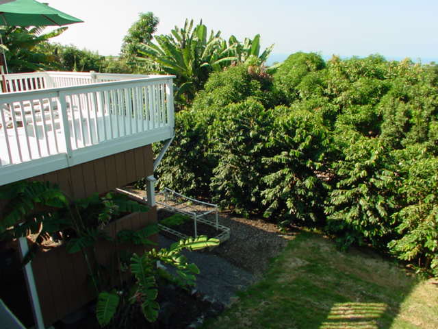 825780 B Napoopoo Road Captain Cook, HI 96704 - Photo 29 of 62 Gallery Image 29