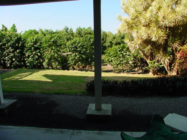 825780 B Napoopoo Road Captain Cook, HI 96704 - Photo 39 of 62 Gallery Image 39