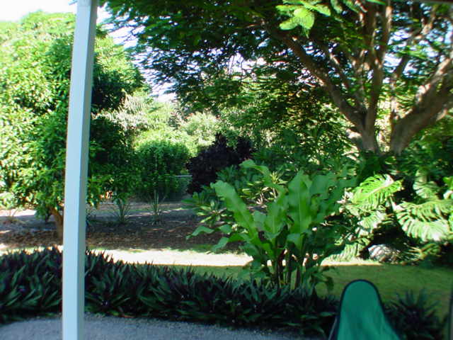 825780 B Napoopoo Road Captain Cook, HI 96704 - Photo 40 of 62 Gallery Image 40
