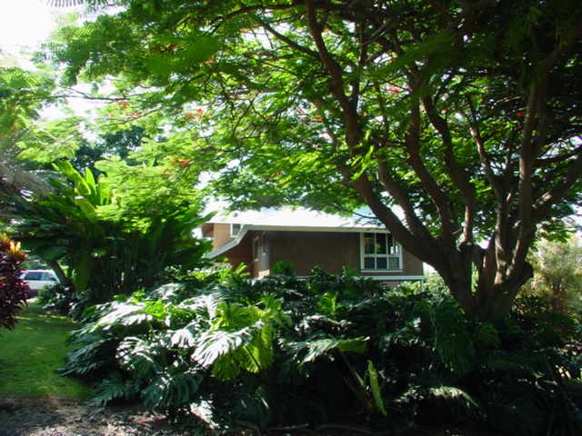 825780 B Napoopoo Road Captain Cook, HI 96704 - Photo 46 of 62 Gallery Image 46