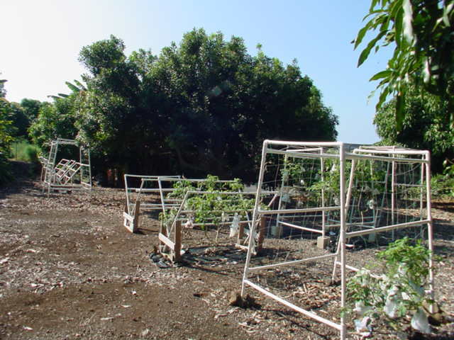 825780 B Napoopoo Road Captain Cook, HI 96704 - Photo 47 of 62 Gallery Image 47