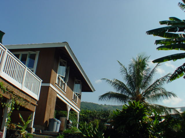 825780 B Napoopoo Road Captain Cook, HI 96704 - Photo 49 of 62 Gallery Image 49