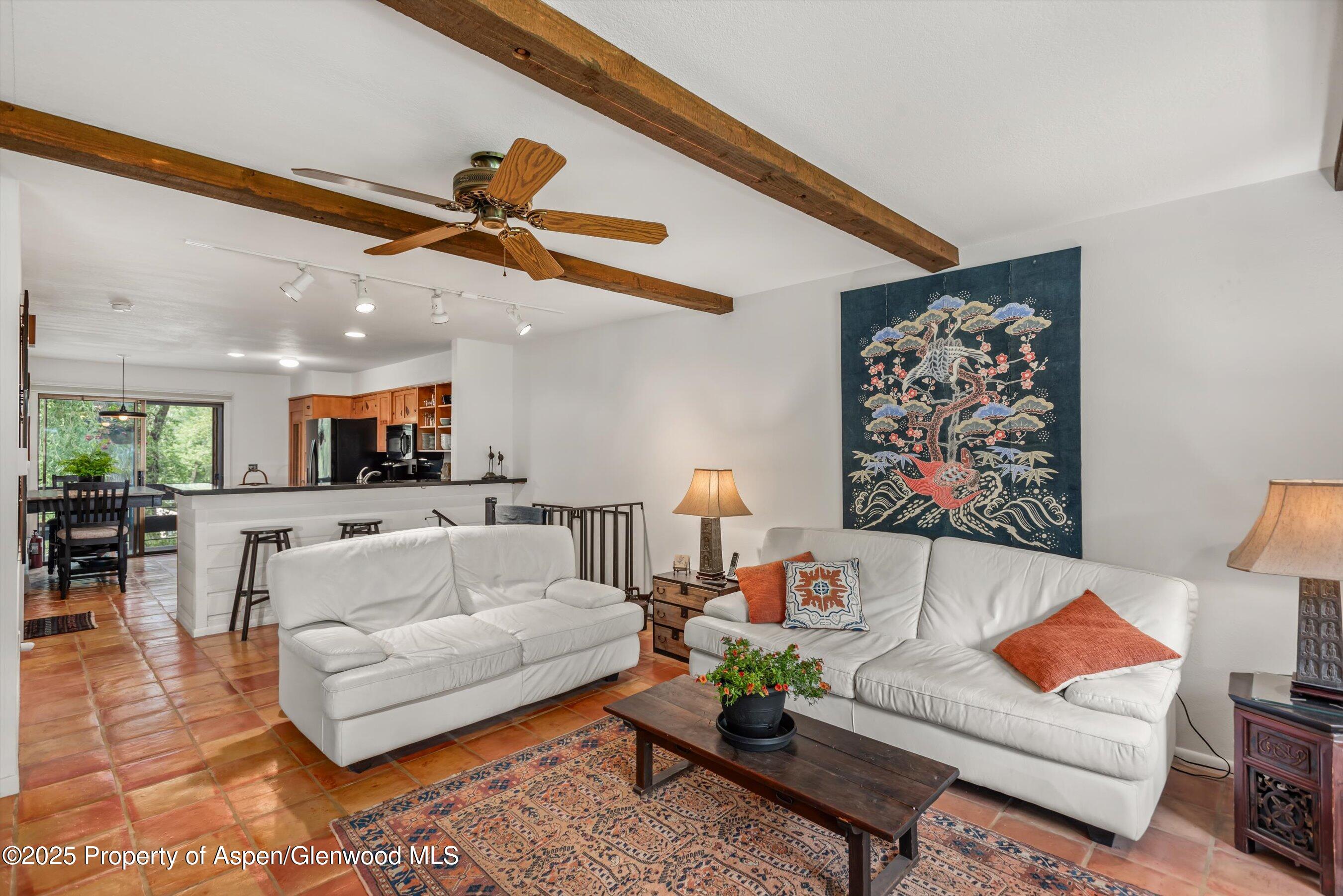 824 East Hopkins Avenue, Unit 102 AND 202 Aspen, CO 81611 - Photo 2 of 19 a living room with furniture and kitchen view