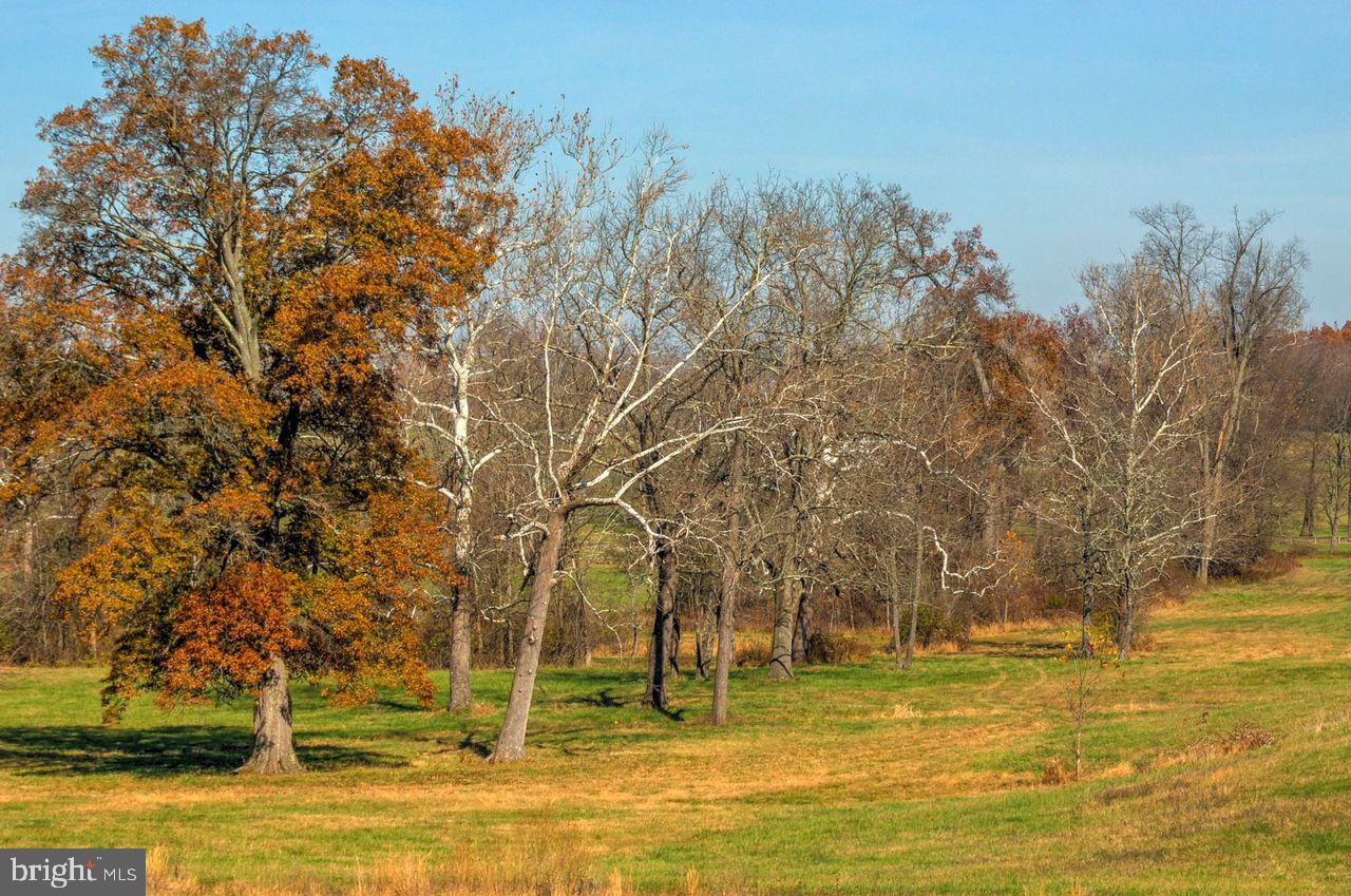 Logans Mill Road The Plains, VA 20198 - Photo 2 of 2 Gallery Image 2
