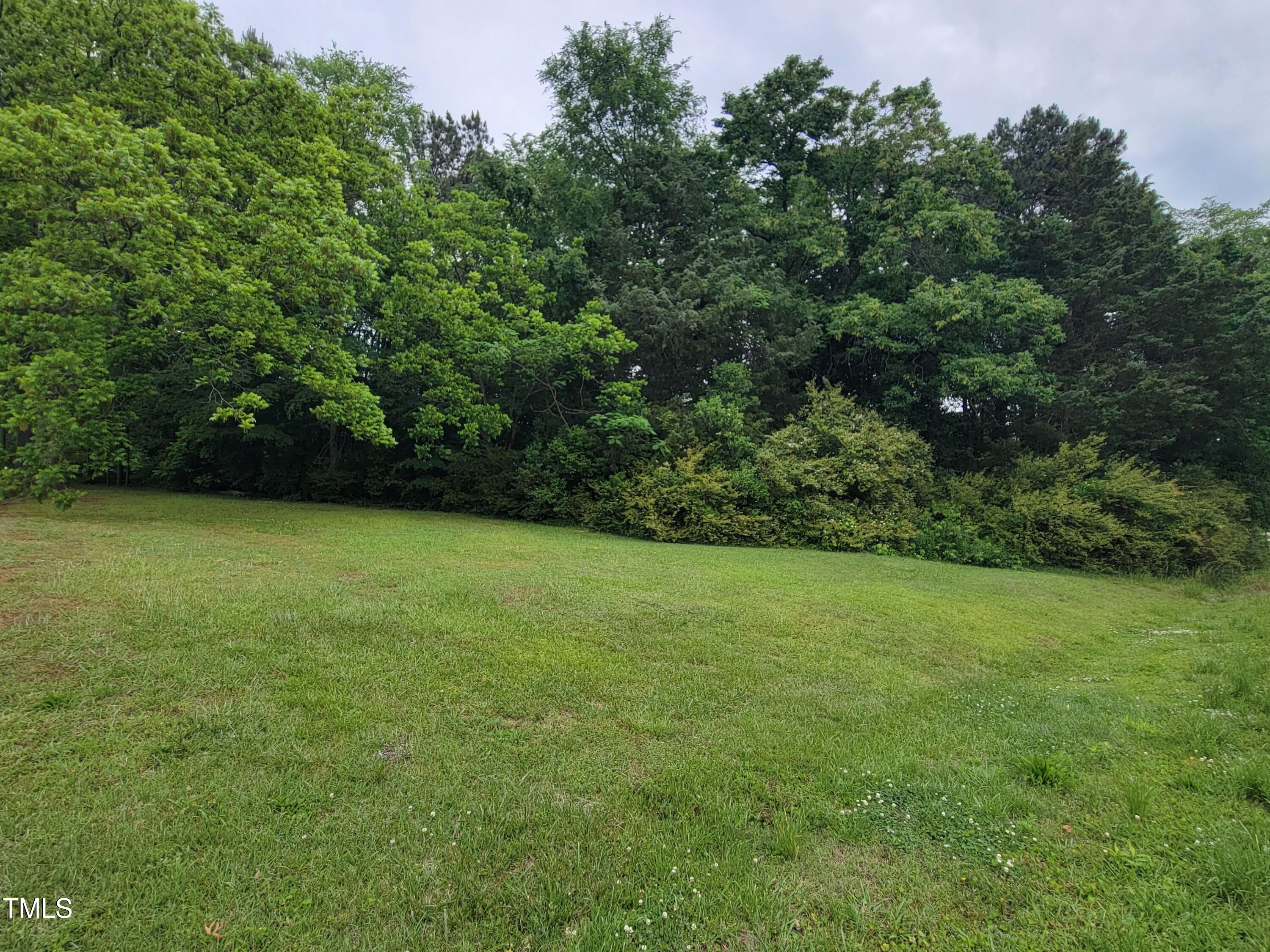 Tbd East 3rd Street Siler City, NC 27344 - Photo 11 of 23 a view of a field with a trees in the background