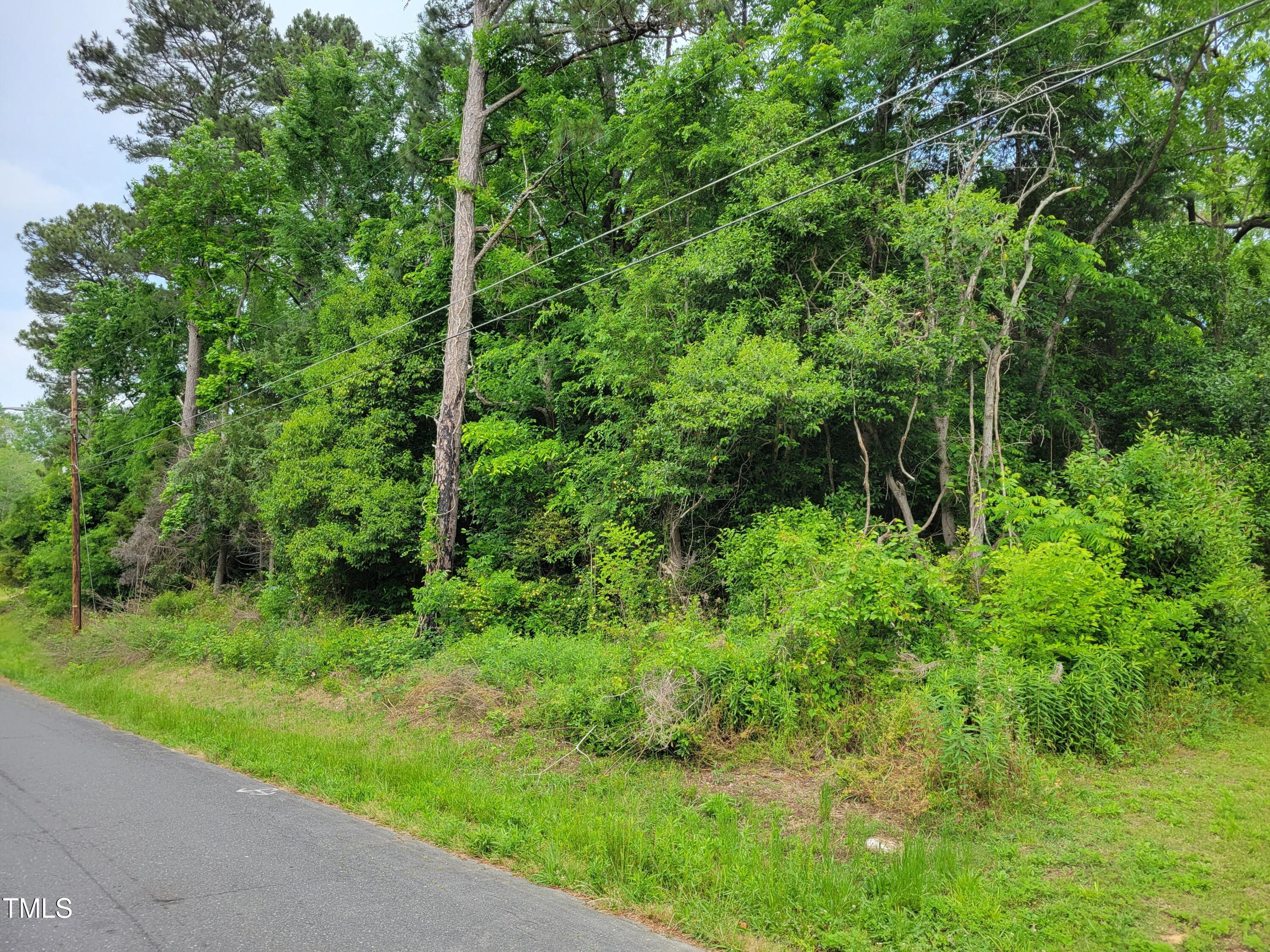 Tbd East 3rd Street Siler City, NC 27344 - Photo 21 of 23 a view of forest