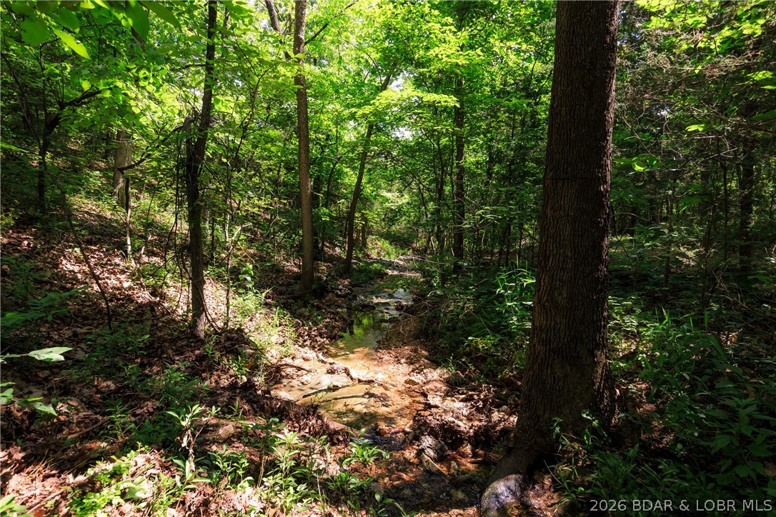400 Hidden Acres Road Camdenton, MO 65020 - Photo 17 of 39