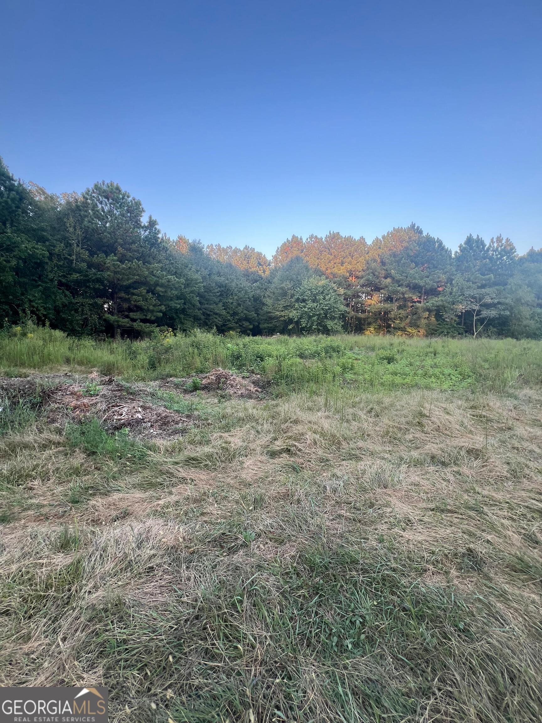 60 North East Main Street Hampton, GA 30228 - Photo 13 of 17 a view of an outdoor space with a lake view