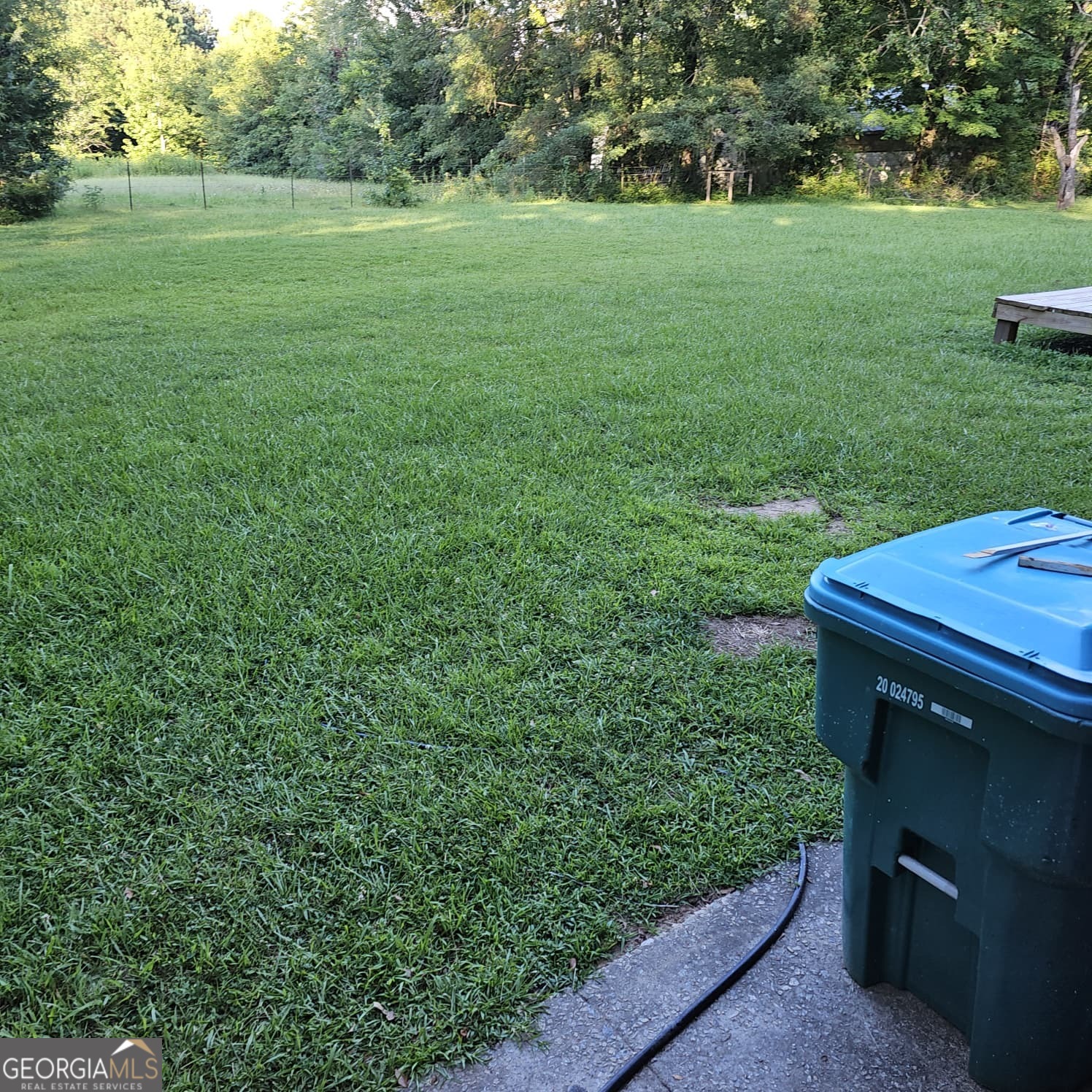 60 North East Main Street Hampton, GA 30228 - Photo 16 of 17 a view of a backyard with large trees