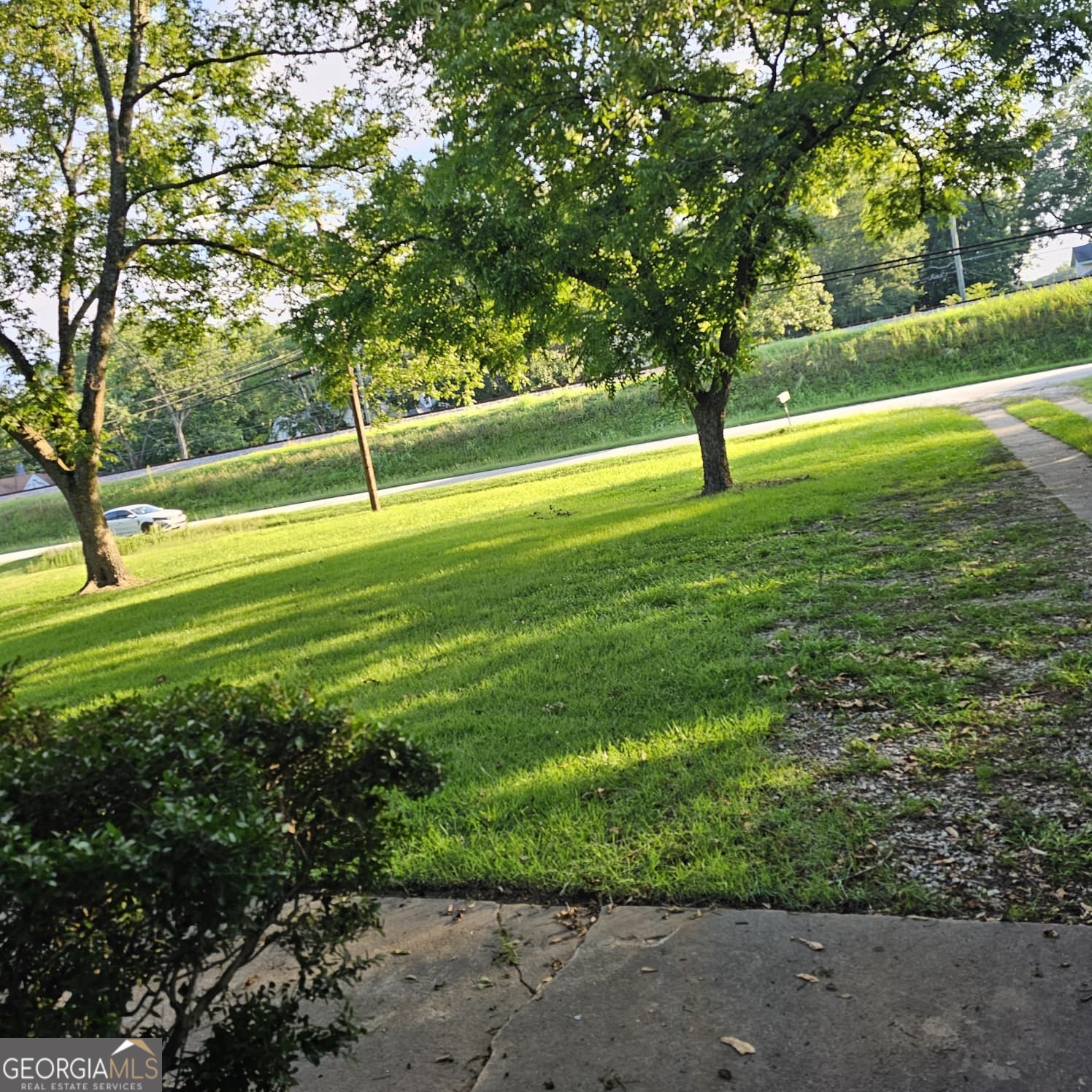 60 North East Main Street Hampton, GA 30228 - Photo 17 of 17 a view of a field with a tree