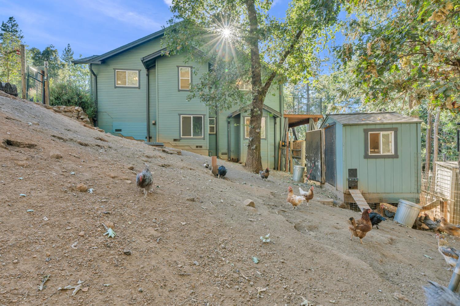 21930 Placer Hills Road Colfax, CA 95713 - Photo 70 of 98