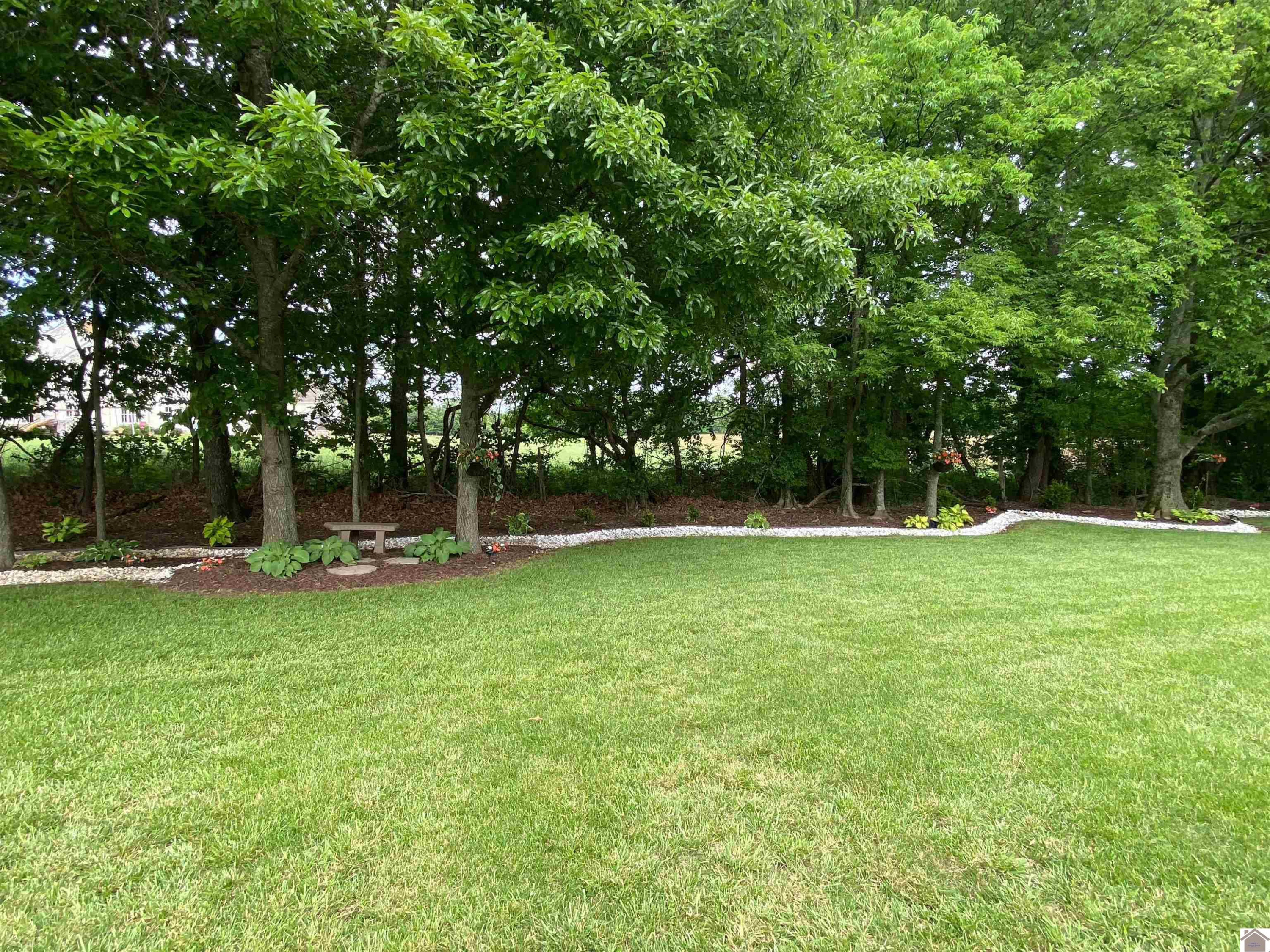 1405 Reed Street Murray, KY 42071 - Photo 32 of 35 Photo 32