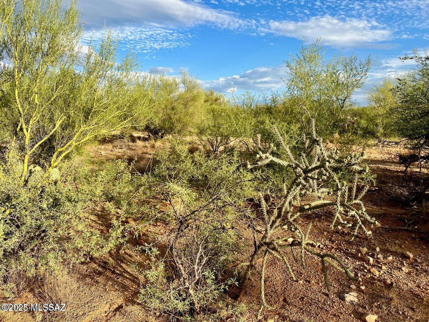 15966 West Phillips Road, Unit 270 Tucson, AZ 85736 - Photo 9 of 17 Gallery Image 9