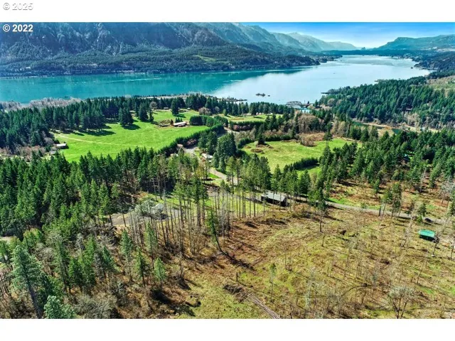 a view of a garden with an outdoor space