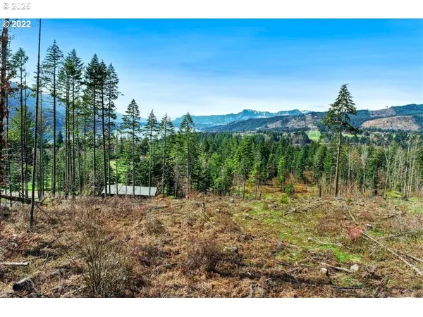 $229,000 | Kelly-henke Rd Homevalley Wa 98648, Stevenson, WA 98648
