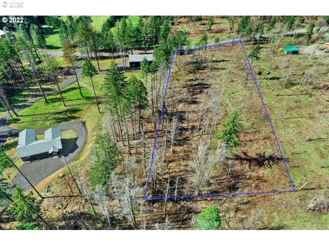 $250,000 | Kelly-henke Rd Homevalley Wa 98648, Stevenson, WA 98648