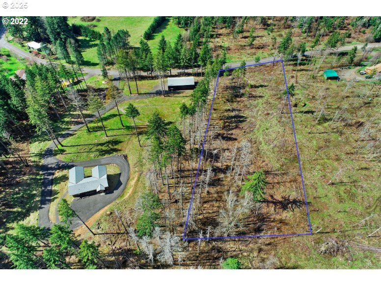 Kelly-henke Rd Homevalley Wa 98648 Stevenson, WA 98648 - Photo 3 of 23 a view of a yard with plants